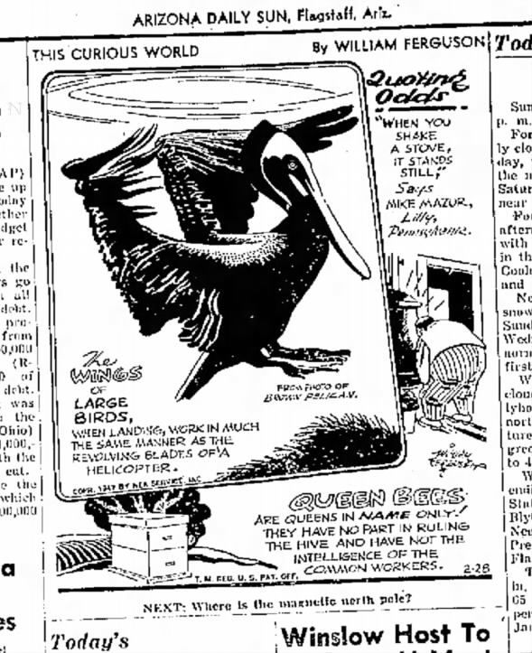Clipping from Arizona Daily Sun